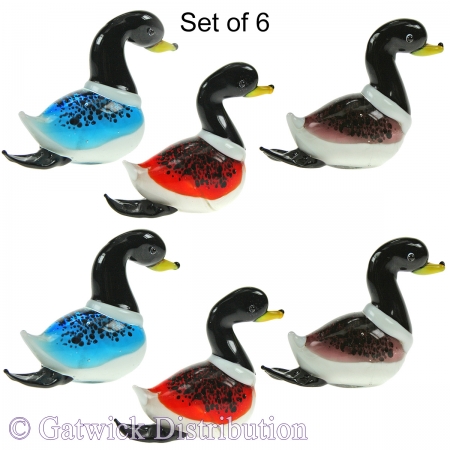 Colourful Ducks - Set of 6
